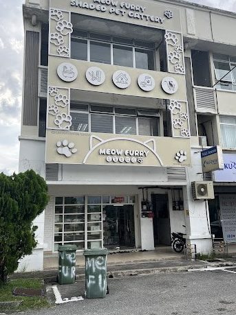 Meow Furry Shaded Cattery pet shop (kitten n cat kucing ) 1 meow furry shaded cattery pet shop kitten n cat kucing