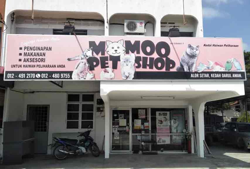 momoq petshop murah