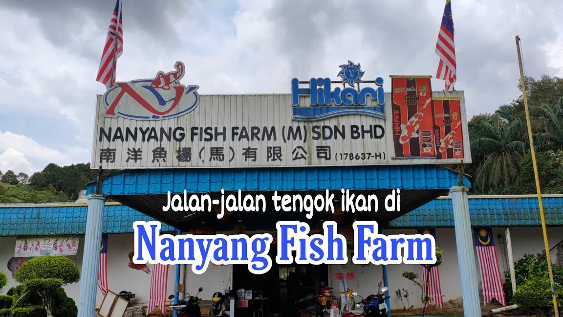 NanYang Fish Farm (M) Sdn. Bhd. 1 nanyang fish farm m sdn bhd