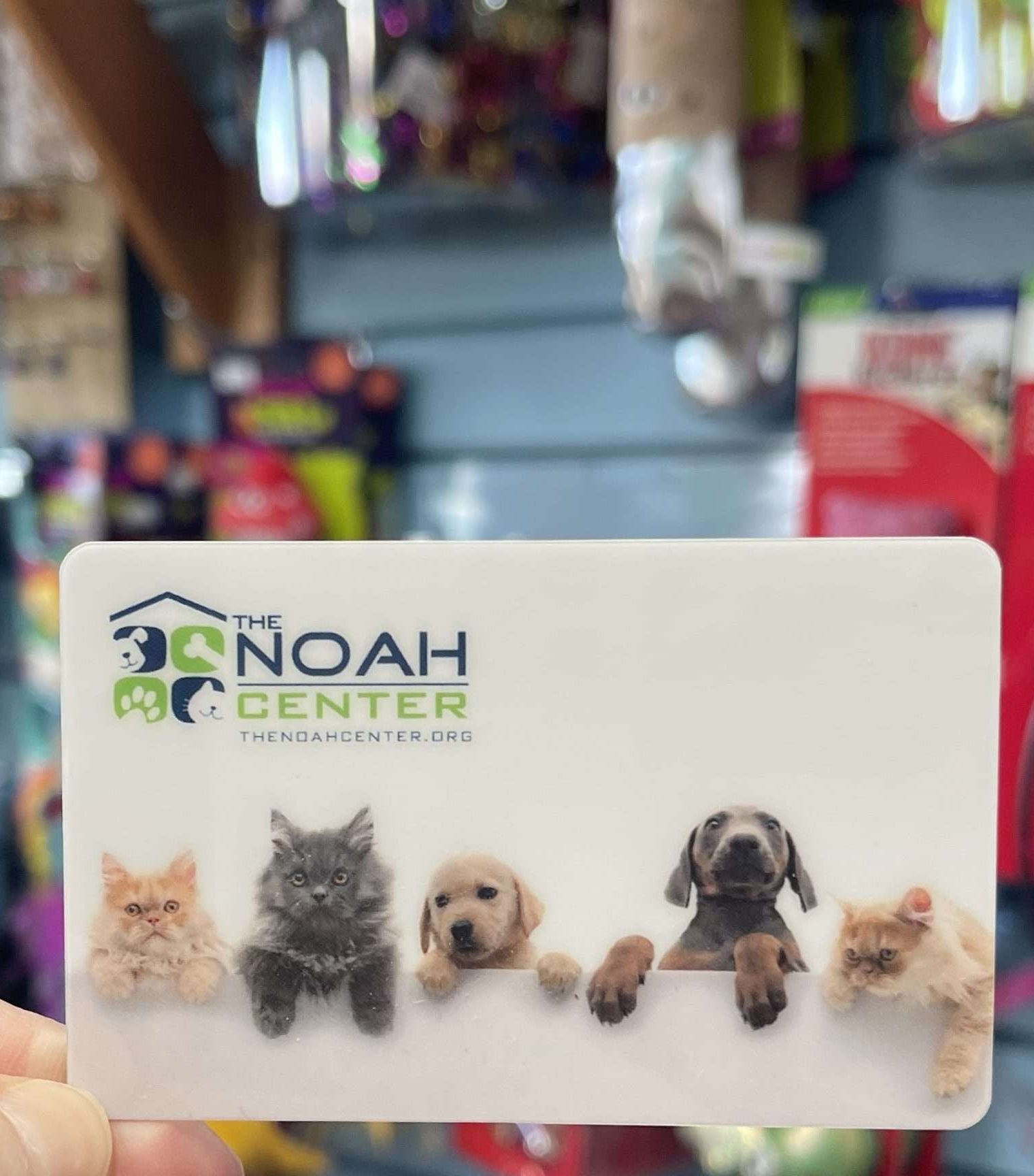 nauah pet shop 1 nauah pet shop