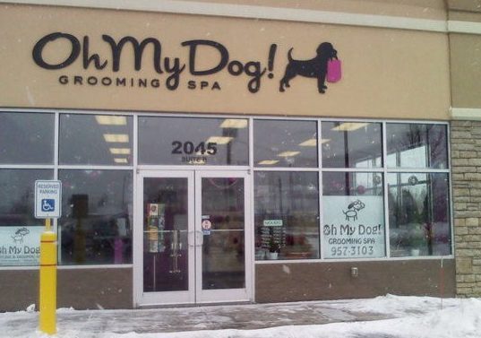 oh my pet shop