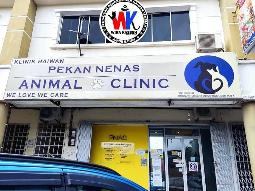 pekan nanas animal clinic