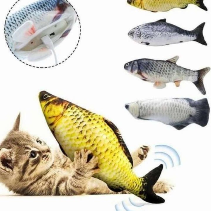 Pet Goyang Terbaik di Tanah Rata 1 pet goyang terbaik di tanah rata