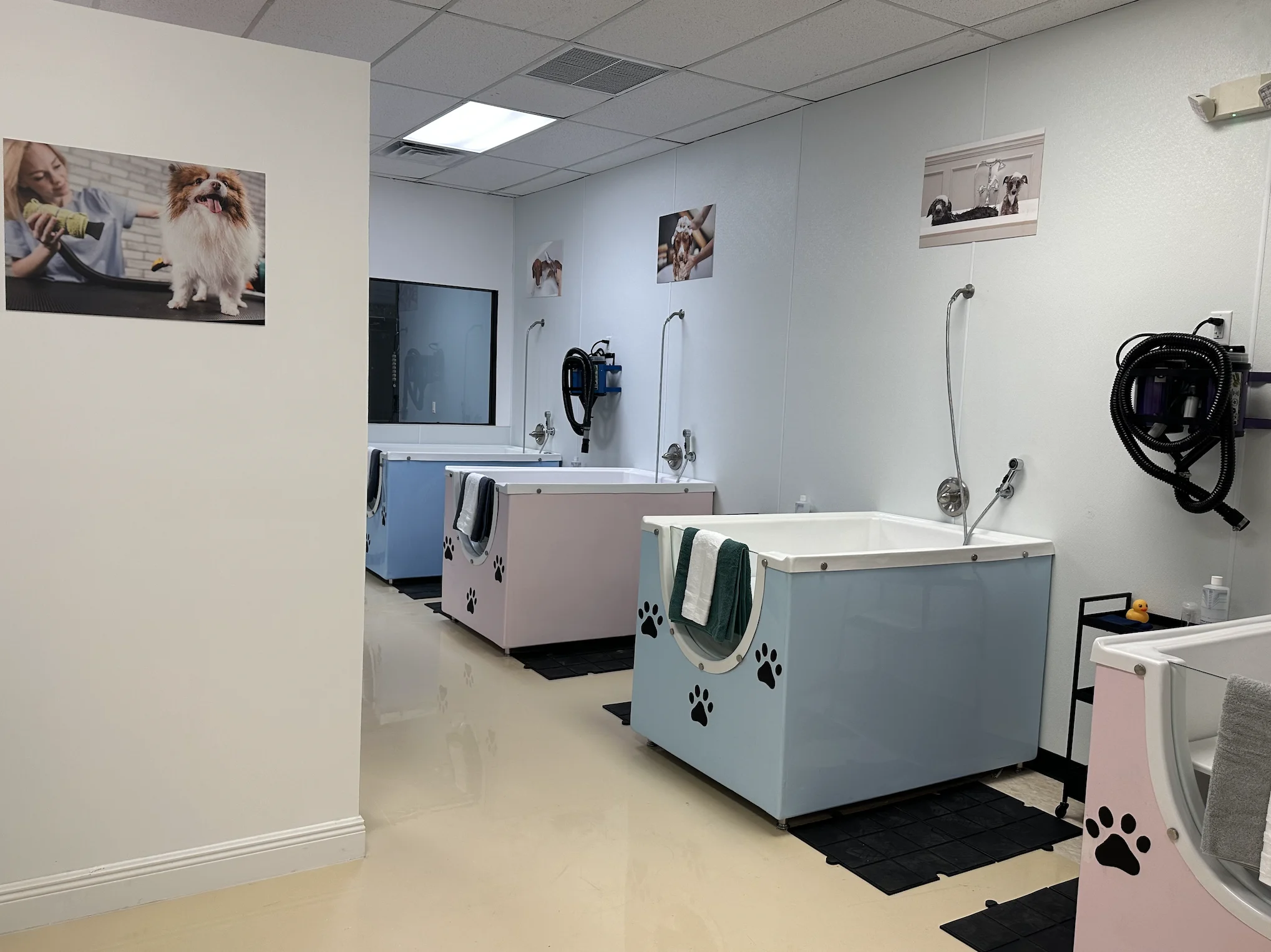 Pet Image Grooming Salon 1 pet image grooming salon 1