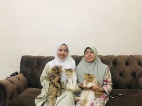 Pet Lovers Centre - Taman Nusa Bestari 1 pet lovers centre taman nusa bestari
