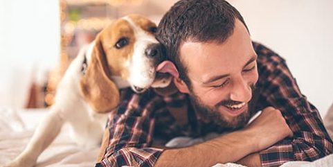 pet moment