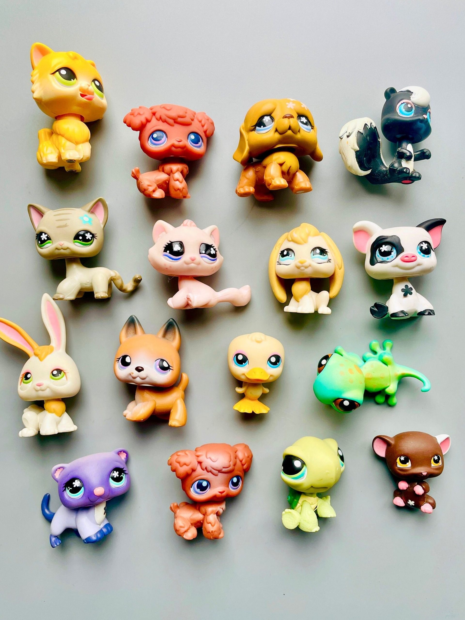 Petshop 1 petshop scaled