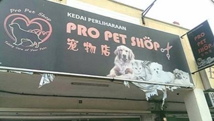 PRO PET SHOP Kluang居銮宠物店 1 pro pet shop kluange5b185e98aaee5aea0e789a9e5ba97