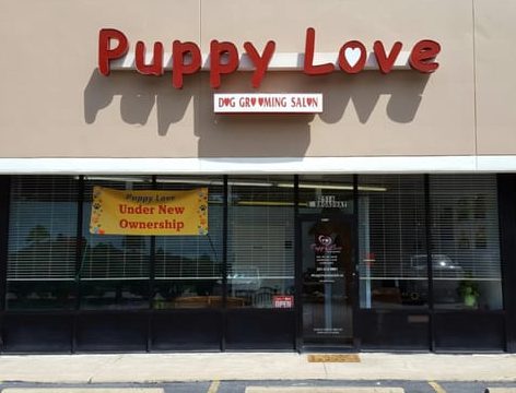 Puppy Love Pet Shop 1 puppy love pet shop