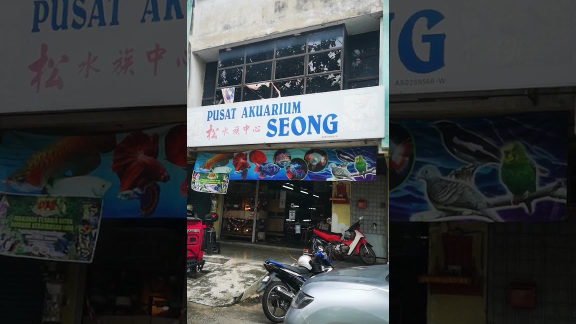 Pusat aquarium sungai lalang 1 pusat aquarium sungai lalang