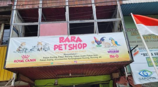 Rara Pet Shop 1 rara pet shop