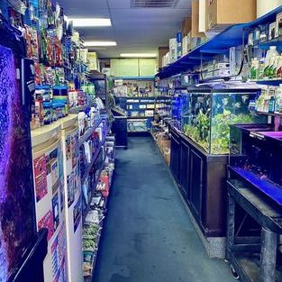 SEVEN AQUATIC & PETS SHOP 1 seven aquatic pets shop