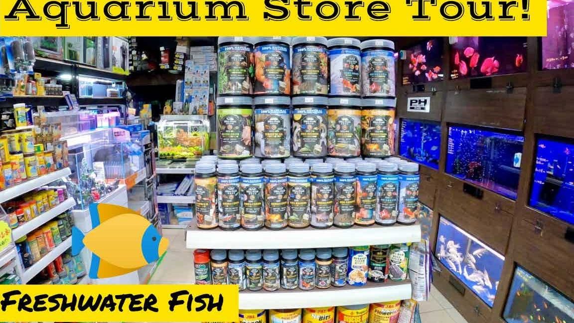 shen loong aquarium pets store e7bb85e6b3b7e6b0b4e6978fe5aea0e789a9e5ba97