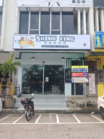 Sheng Ling Aquatics Living 圣錂悠宠馆 1 sheng ling aquatics living e59ca3e98c82e682a0e5aea0e9a686