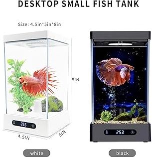 sin sin aquarium