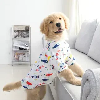 Summer Pet Gallery (Kulai) 1 summer pet gallery kulai