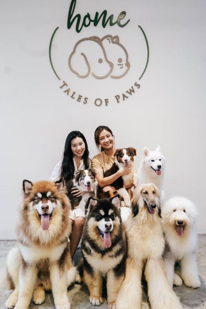 TALES OF PAWS 1 tales of paws