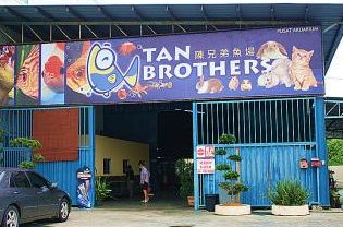 tan brothers aquatic trading co