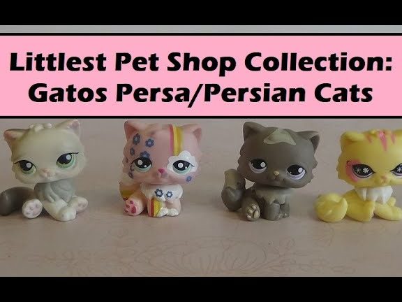 the gatos petshop