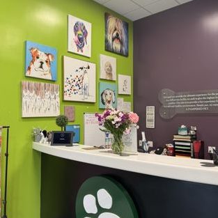 The Pet’s Talk - Dog/Cat Grooming, Spa & Hotel 1 the pets talk dog cat grooming spa hotel