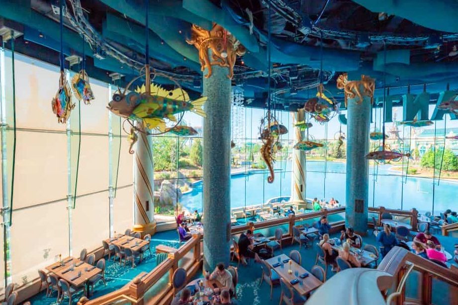 universal aquarium studio cafe
