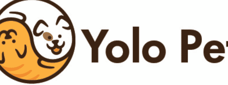 yolo pet johor bahru jb dog cat accessories online store